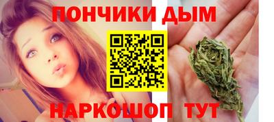 индика Партизанск
