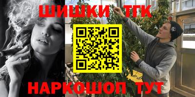 индика Партизанск