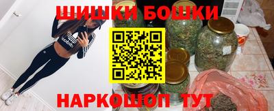 индика Партизанск